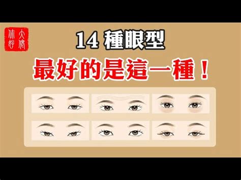 縴長眼是什麼|八大「眼型」都在這裡，你屬於哪一種？